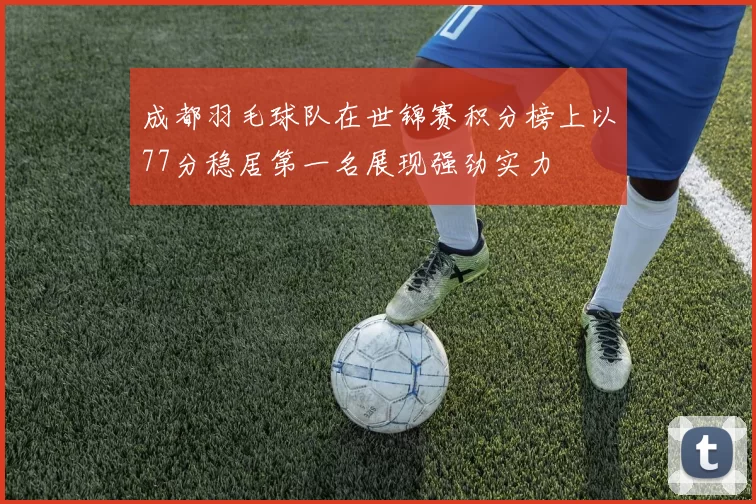 成都羽毛球队在世锦赛积分榜上以77分稳居第一名展现强劲实力