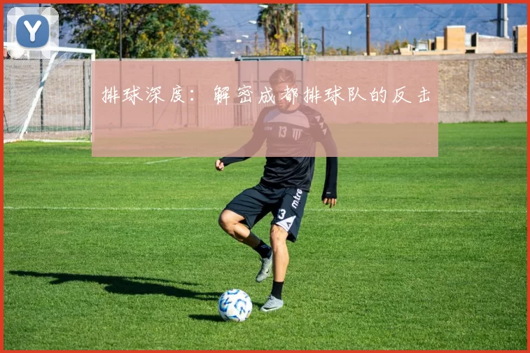排球深度：解密成都排球队的反击