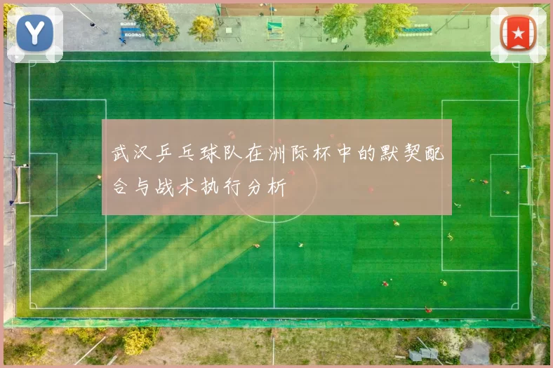 武汉乒乓球队在洲际杯中的默契配合与战术执行分析