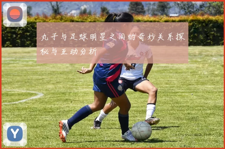 丸子与足球明星之间的奇妙关系探秘与互动分析