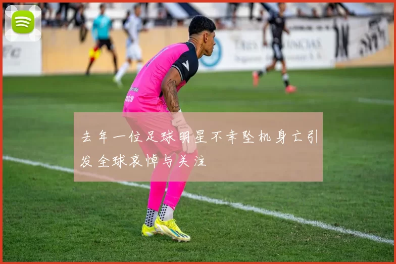 去年一位足球明星不幸坠机身亡引发全球哀悼与关注