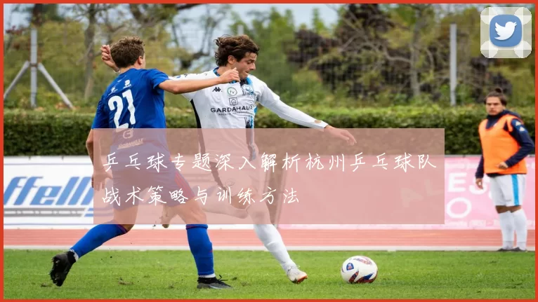 乒乓球专题深入解析杭州乒乓球队战术策略与训练方法