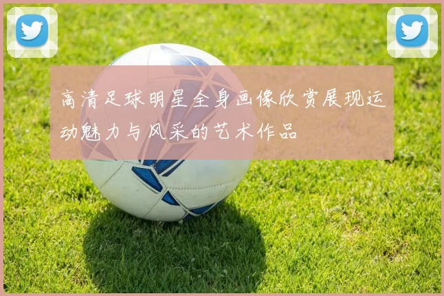 高清足球明星全身画像欣赏展现运动魅力与风采的艺术作品
