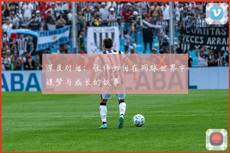 深度对话：张伟如何在网球世界中追梦与成长的故事