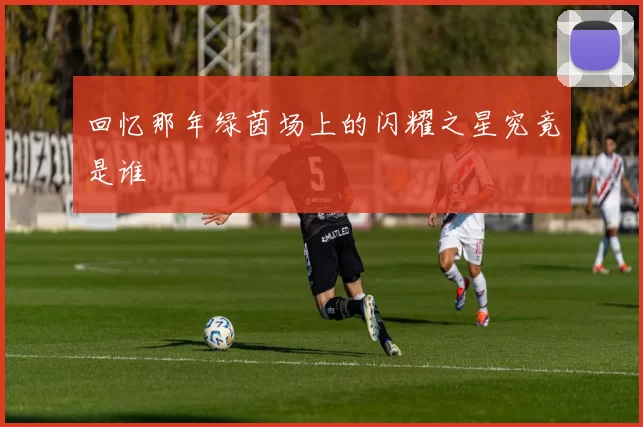 回忆那年绿茵场上的闪耀之星究竟是谁