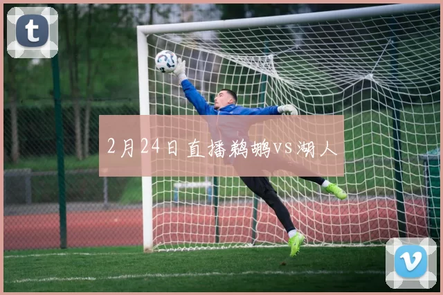 2月24日直播鹈鹕vs湖人