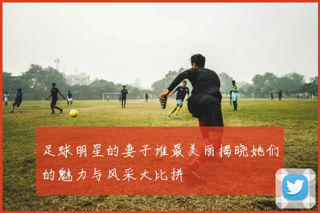 足球明星的妻子谁最美丽揭晓她们的魅力与风采大比拼