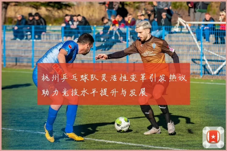 杭州乒乓球队灵活性变革引发热议助力竞技水平提升与发展