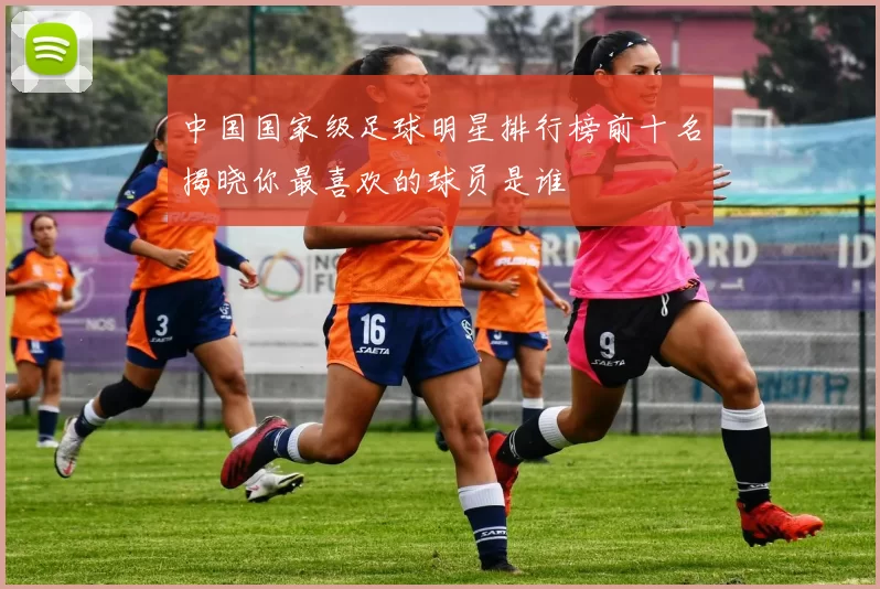 中国国家级足球明星排行榜前十名揭晓你最喜欢的球员是谁