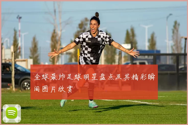 全球最帅足球明星盘点及其精彩瞬间图片欣赏