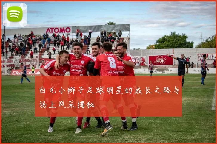 白毛小辫子足球明星的成长之路与场上风采揭秘