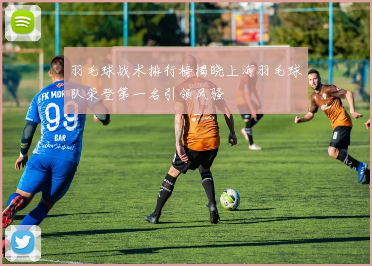 羽毛球战术排行榜揭晓上海羽毛球队荣登第一名引领风骚