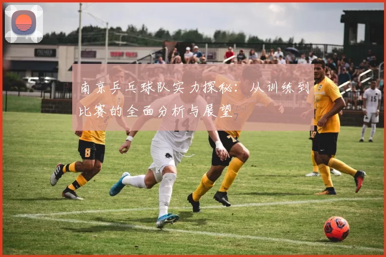 南京乒乓球队实力探秘：从训练到比赛的全面分析与展望