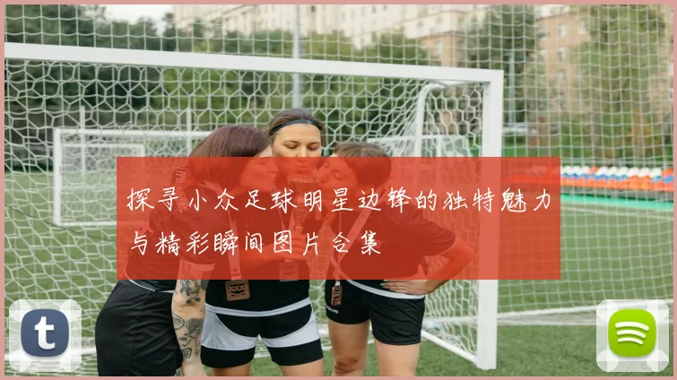 探寻小众足球明星边锋的独特魅力与精彩瞬间图片合集