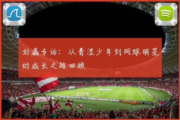 刘磊专访：从青涩少年到网球明星的成长之路回顾